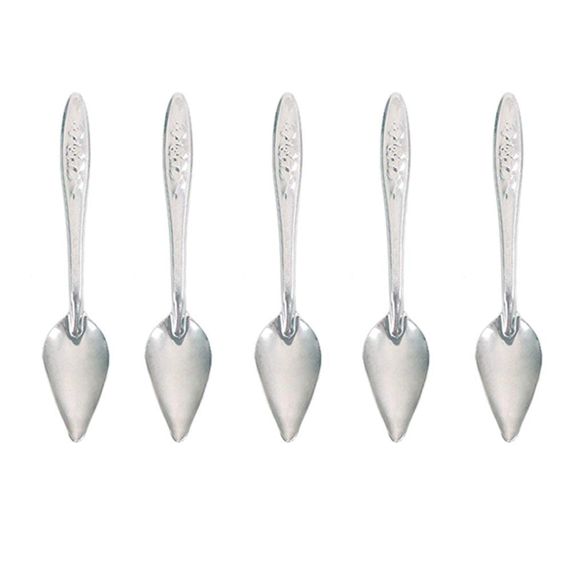 5 Pcs Bird Parrot Feeder Spoon Stainless Steel Milk Medicine Parrot Feeding Spoon for All Baby Bird Peony Cockatiel 4.7" - PawsPlanet Australia