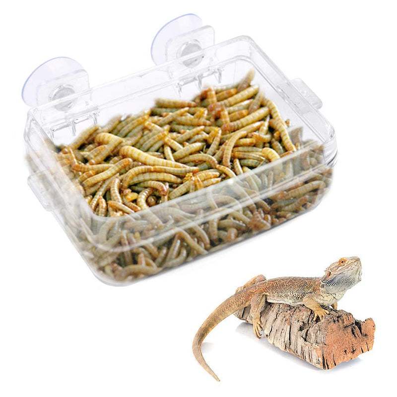 Reptiles Feeder, Amphibians Reptiles Anti-Escape Food Bowl Transparent Suction Cup Worm Feeding Basin for Gecko Snakes Iguana Lizard