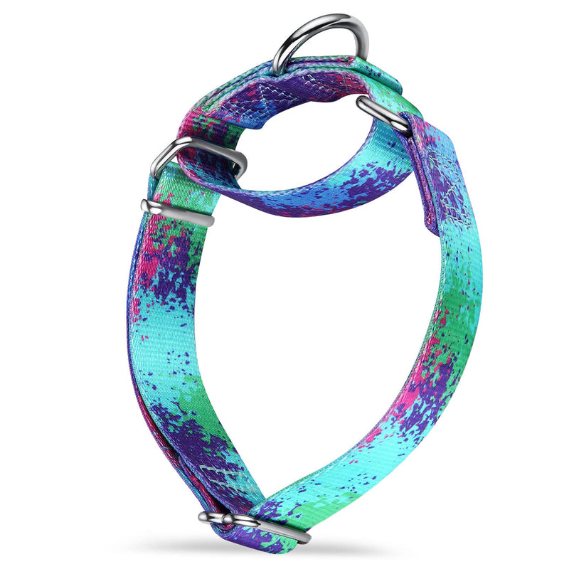 Martingale Dog Collar Escape-Proof for Training - No-Buckle, Durable Polyester Design for Medium Breeds (Ecological Oasis, M) M: 1" Width (14"-21") Ecology Oasis - PawsPlanet Australia
