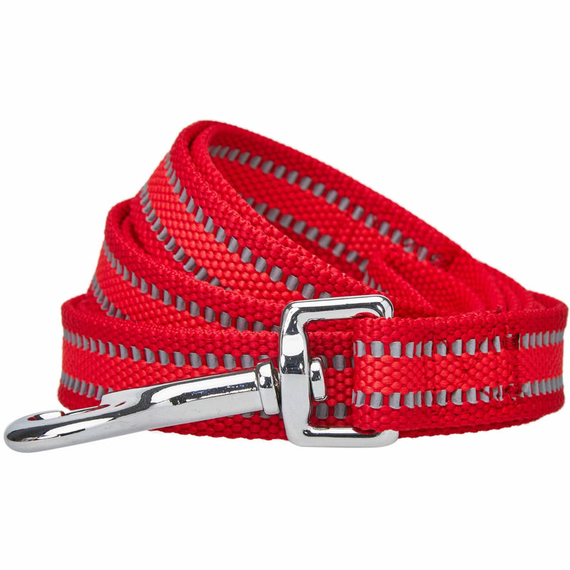 Blueberry Pet Essentials Reflective Better Basics Dog Leash, Rouge Red, 5 ft x 3/4", Medium, Leashes for Dogs - PawsPlanet Australia