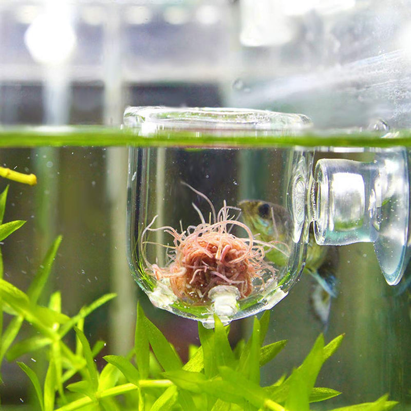 Pssopp Aquarium Red Worm Fish Feeder Transparent Suction Cup Fish Tank Feeding Cup Food Container for Feeding Shrimp Fish Glass Hole Cup - PawsPlanet Australia