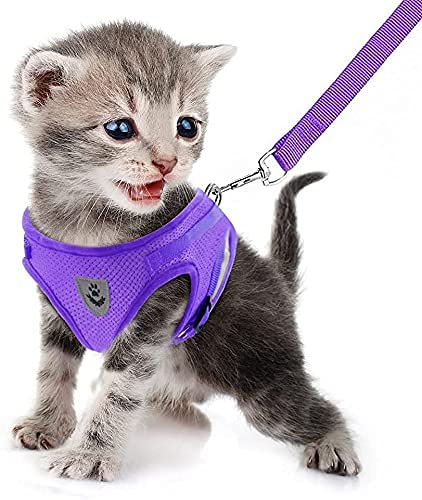 FEimaX Dog Harness and Leash Set for Walking, Soft Mesh Adjustable Easy Control Lightweight Cat Vest Harnesses with Reflective Strips, Escape Proof Small Dogs Cats Vests Purple X-Small - PawsPlanet Australia