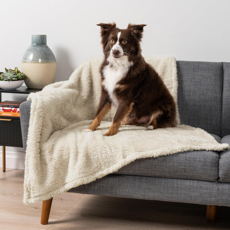 PetAmi Fluffy Waterproof Dog Blanket for Medium Large Dogs, Soft Warm Pet Sherpa Throw Pee Proof Couch Cover, Reversible Cat Bed Blanket Sofa Protector, Plush Washable Pad (Beige Cream, 40x60) Large (40x60) Beige - PawsPlanet Australia
