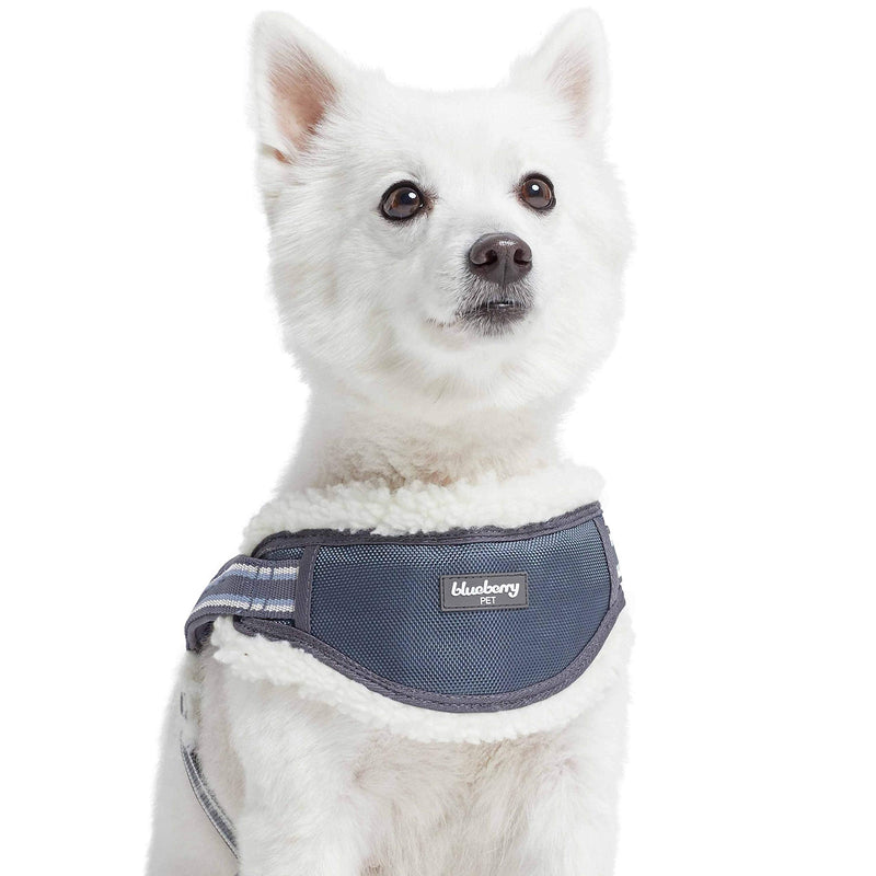 Blueberry Pet Soft & Comfy Multi-Colored Stripe Fleece Padded Chest Dog Harness, Chest Girth 16.5" - 21", Grey, Small, Adjustable No Pull Training Harness for Dogs - PawsPlanet Australia