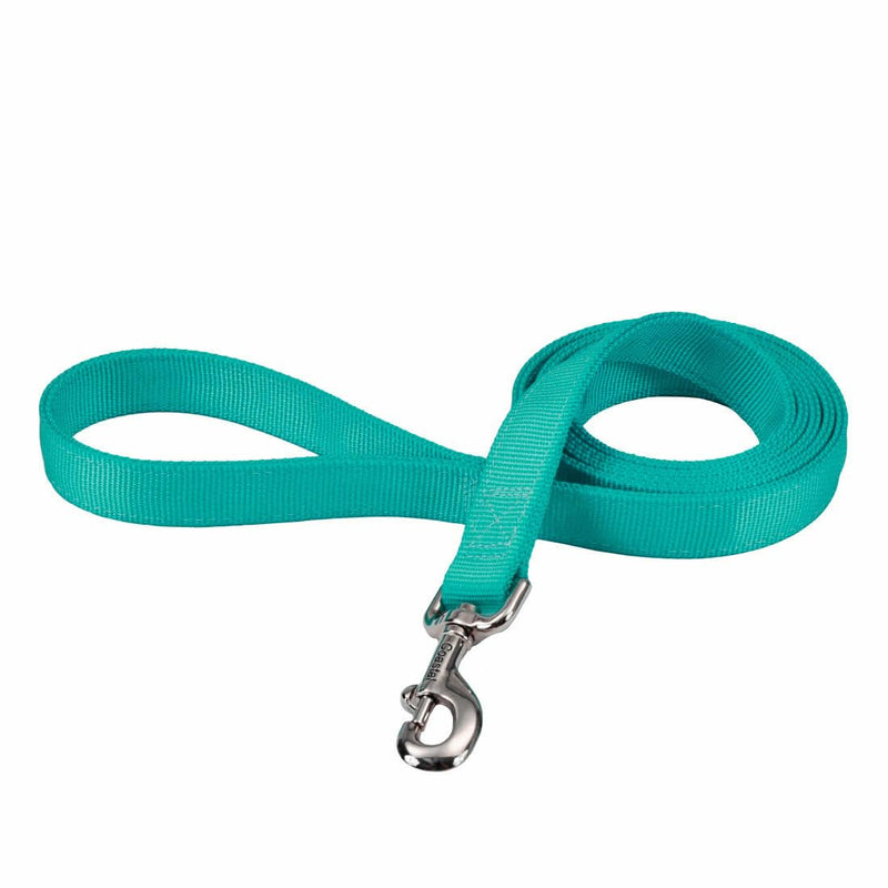 Coastal Pet Double-Ply Dog Leash - Bolt Snap Attachment to Collars and Harnesses - Nylon Dog Walking Leash for Small, Medium and Large Dogs - Teal - 1" x 6' 1" x 6' (Pack of 1) - PawsPlanet Australia