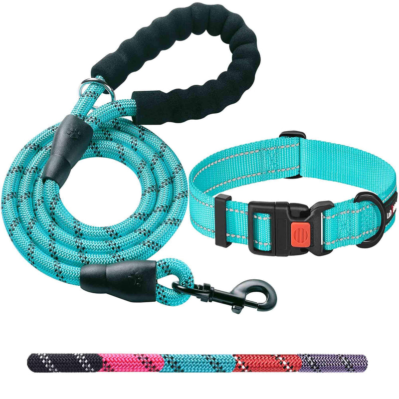 Heavy Duty Dog Leash - Comfortable Padded Handle, 5 ft Long - Dog Leashes for Small Medium Large Dogs (Leash+Collar M Neck 16"-20", Blue) Medium (Pack of 1) Blue Leash+Collar - PawsPlanet Australia