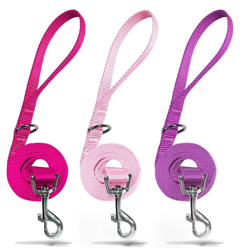 azuza 3 Pack Nylon Dog Leashes,Strong & Durable Basic Style Leash with Easy to Use Collar Hook,Available in Multiple Lengths for Puppy Small Dogs, Hot Pink/Pink/Purple XS: 3/8" x 6 FT 2#3pack (Pink) - PawsPlanet Australia