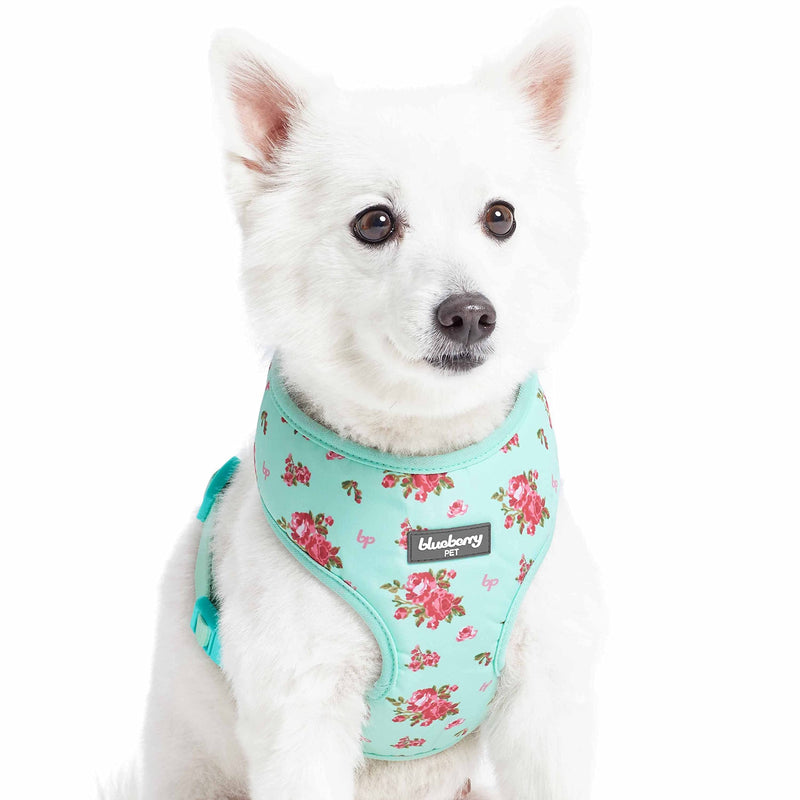 Blueberry Pet Floral Dog Vest Harness, Turquoise, X-Small | No Pull, Lightweight & Comfy Fit for Puppies and Small Breeds | Award-Winning Design for Girl Dogs - PawsPlanet Australia