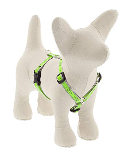 Lupine Reflective Extra Small Adjustable Dog Harness 1/2" Wide Green Diamond with 9-14" Girth 1/2"w; 9-14" girth - PawsPlanet Australia
