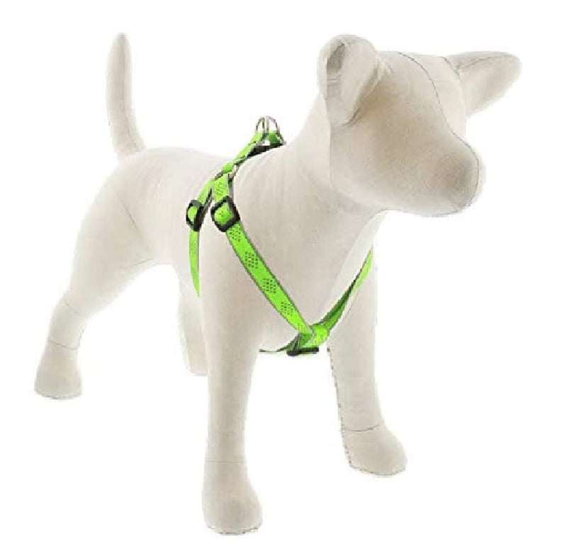 Lupine Reflective Step in Dog Harness 3/4" Wide Green Diamond with 20-30" Girth 3/4"w; 20-30" girth - PawsPlanet Australia