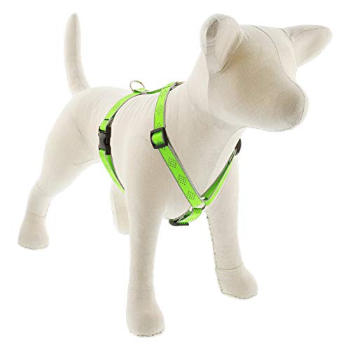 Lupine Reflective Adjustable Dog Harness 3/4" Wide Green Diamond with 14-24" Girth 3/4"w; 14-24" girth - PawsPlanet Australia