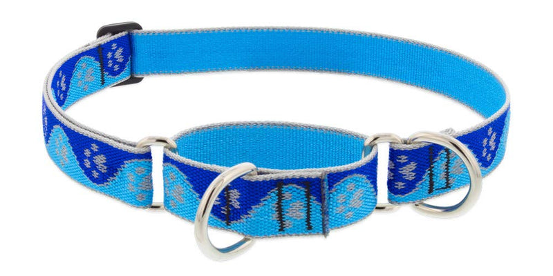 Lupine Reflective Martingale Dog Collar 1" Wide Blue Paws Adjusts from 15" to 22" 1"w; 15-22" - PawsPlanet Australia