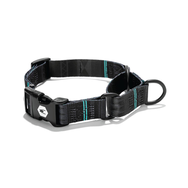 Wolfgang Premium Martingale Dog Collar for Medium Dogs, Durable & Easy to Clean Nylon Dog Collar with Quick Clip Buckles, for Training & Daily Use, Made in USA, NightOwl Print, (1 Inch x 14-18 Inch) Medium (1 Inch x 14-18 Inch) - PawsPlanet Australia