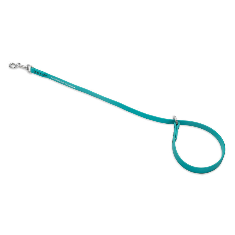 GROOMERSPRO Jelly Grooming Loop Slip Style | Fits Most Pet Grooming Tubs/Tables | Easy to Clean, Waterproof & Durable Noose Loop | Stronger Than Leather | Made in The USA 3/8" x 25" Teal