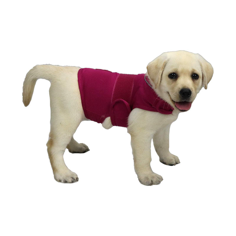 Comfort Dog Anxiety Relief Coat, Dog Anxiety Calming Vest Wrap for Thunderstorm,Travel,4th of July Fireworks,Vet Visits,Separation Anxiety Relief for Dogs (S, Rose) Small - PawsPlanet Australia