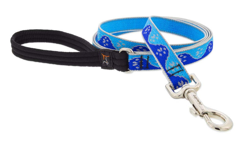 Lupine Reflective Dog Leash 4-Foot by 3/4" Wide Blue Paws 3/4"w; 4-foot - PawsPlanet Australia
