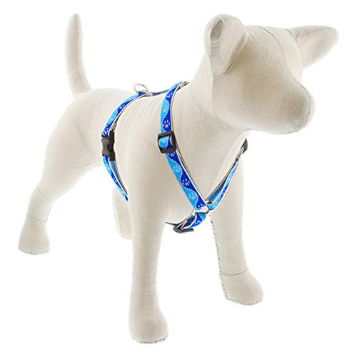 Lupine Reflective Adjustable Dog Harness 3/4" Wide Blue Paws with 20-32" Girth 3/4"w; 20-32" girth