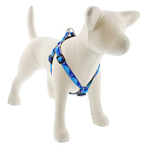 Lupine Reflective Step in Dog Harness 3/4" Wide Blue Paws with 15-21" Girth 3/4"w; 15-21" girth - PawsPlanet Australia