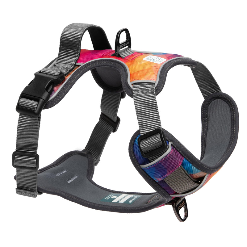 Embark Urban Dog Harness, No-Pull Reflective Trim Dog Harness for Small, Medium & Large Dogs - Heavy Duty Oxford, 2 Leash Clips & Gel Lined Handle. Soft & Padded Puppy Dog Vest for Any Breed S (Chest: 19-23") Aurora - PawsPlanet Australia