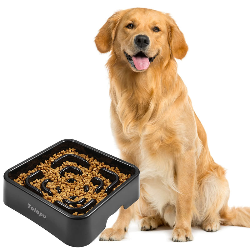 Extra-Large Durable ABS Large Slow Feeder Dog Bowls(10 Cups Capacity) Stop Bloat Bowl Anti-Choking &Anti-Gulping & Fun Feeding Bowl (Large, Black) - PawsPlanet Australia