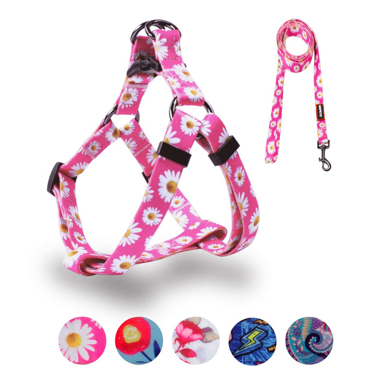 QQPETS Dog Harness Leash Set Adjustable Heavy Duty No Pull Halter Harnesses for Small Medium Large Breed Dogs Back Clip Anti-Twist Perfect for Walking (XS(12"-18" Chest Girth), Daisy) XS(12"-18" Chest Girth) - PawsPlanet Australia