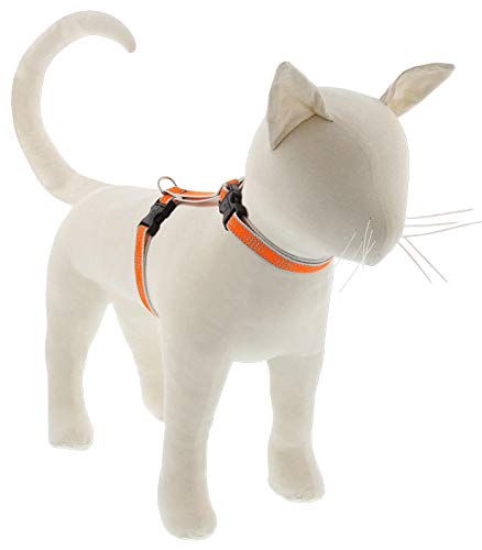Lupine Reflective Cat and Small Pet H-Style Harness in 1/2" Wide Orange Diamond with 9" to 14" Adjustable Girth 1/2" wide; 9-14" girth - PawsPlanet Australia