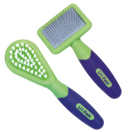 Coastal - Li'l Pals - Kitten Slicker Brush with Coated Tips and Bristle Brush - PawsPlanet Australia