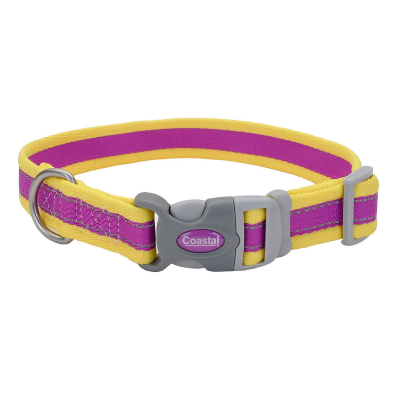 Coastal Pet - Pro - Reflective Adjustable Dog Collar, Purple with Yellow, 1" x 14-20" 1" x 14-20" (Pack of 1) - PawsPlanet Australia