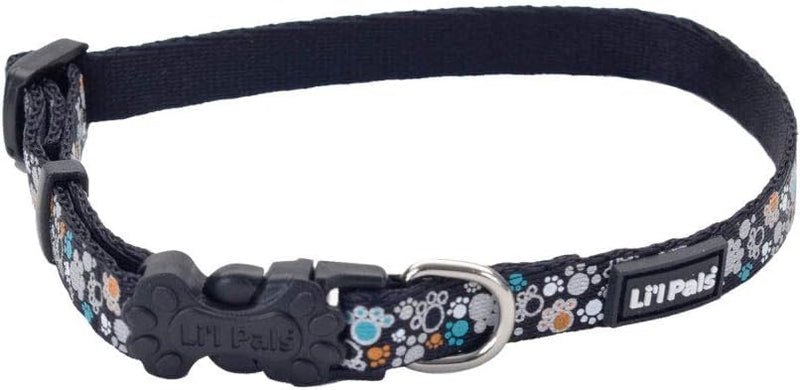 Coastal Pet - Li’l Pals Reflective Dog Collar - Teal Orange Paws - 3/8” x 6"-8” 3/8" x 06"-08" (Pack of 1) - PawsPlanet Australia