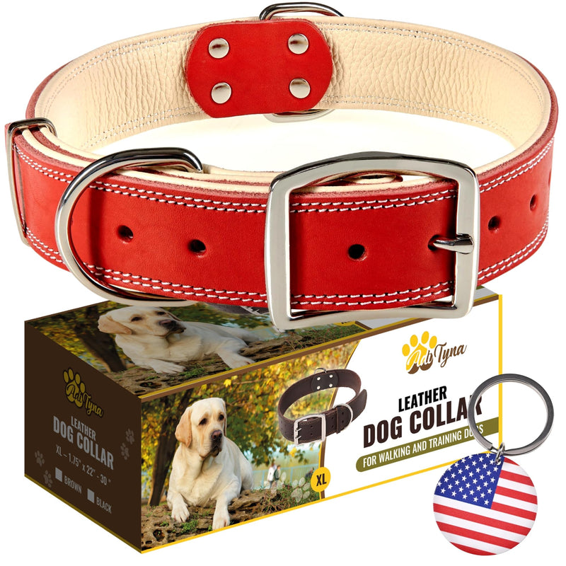ADITYNA Heavy-Duty Leather Dog Collar for Extra-Large Dogs - Soft Padded for Comfort - XL Dog Collar for Walking, Training, and Hiking Red Extra-Large: Fit 22-30" Neck - PawsPlanet Australia