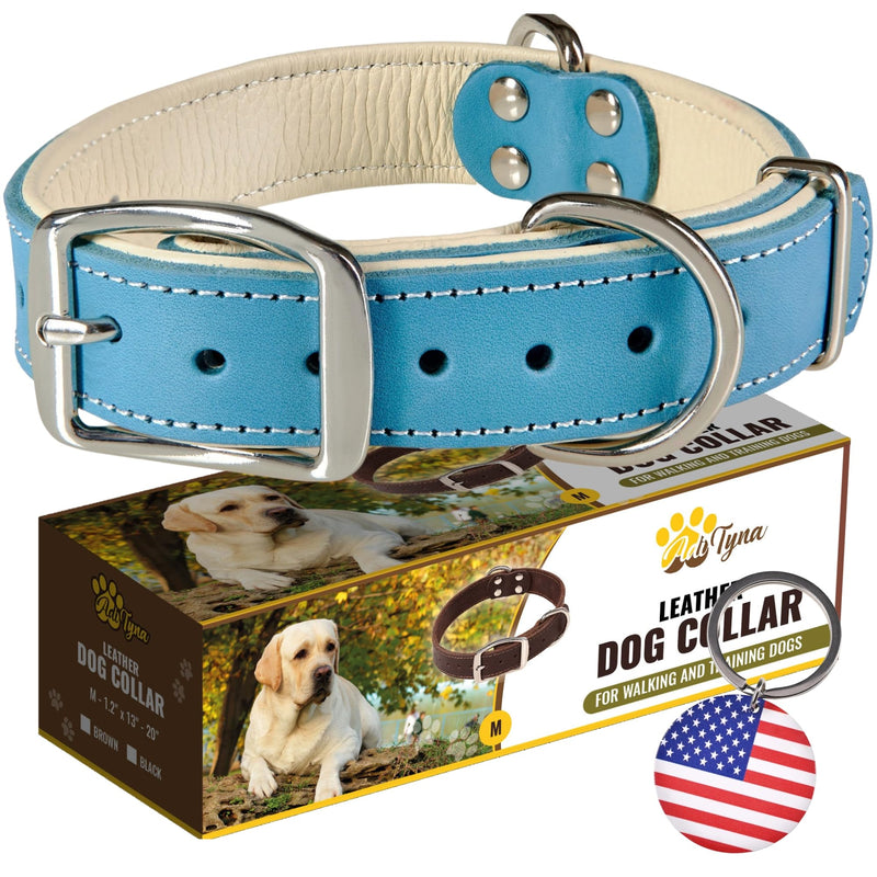 ADITYNA Heavy-Duty Leather Dog Collar for Medium Dogs - Soft Padded for Comfort - Blue Dog Collar for Walking, Training, and Hiking Medium: Fit 13-20" Neck