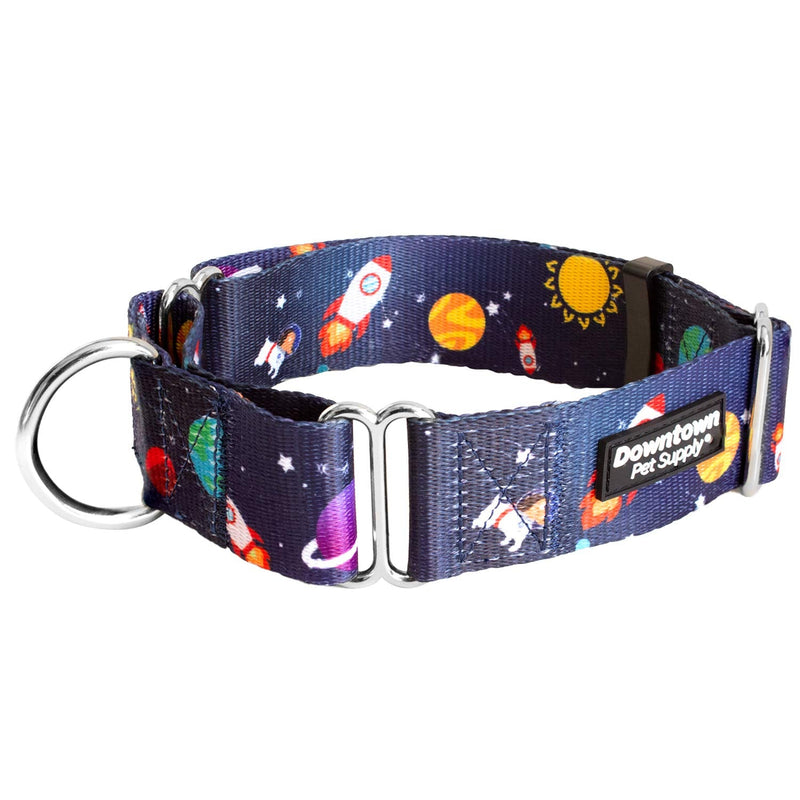 Downtown Pet Supply - Martingale Collar for Dogs - Dog Training Collar - Big, Wide & Thick Dog Collar - Escape-Proof, Weatherproof, Durable and Comfortable - Space - Large Dog Collar Large: 14"-24.5" - PawsPlanet Australia