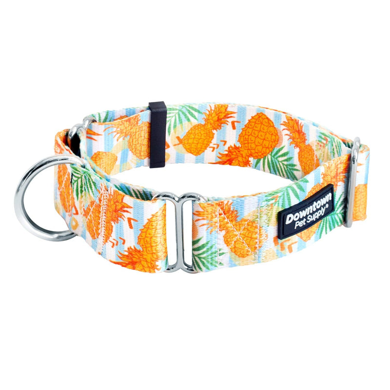 Downtown Pet Supply - Martingale Collar for Dogs - Dog Training Collar - Big, Wide & Thick Dog Collar - Escape-Proof, Weatherproof, Durable and Comfortable - Pineapple - Medium Dog Collar Medium: 11"-20" - PawsPlanet Australia