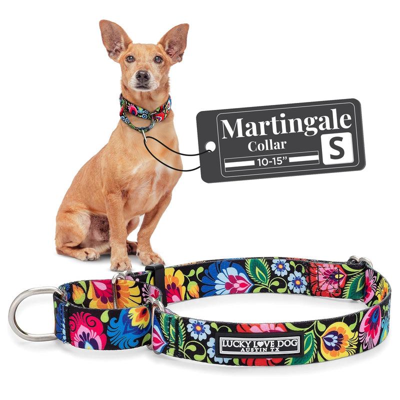 Lucky Love Dog Martingale Dog Collar - Adjustable, No-Slip, Durable, & Soft Webbing Collar for Male and Female Dogs Ideal for Training & Walking - Blackbird, Small Small Collars (10-15")