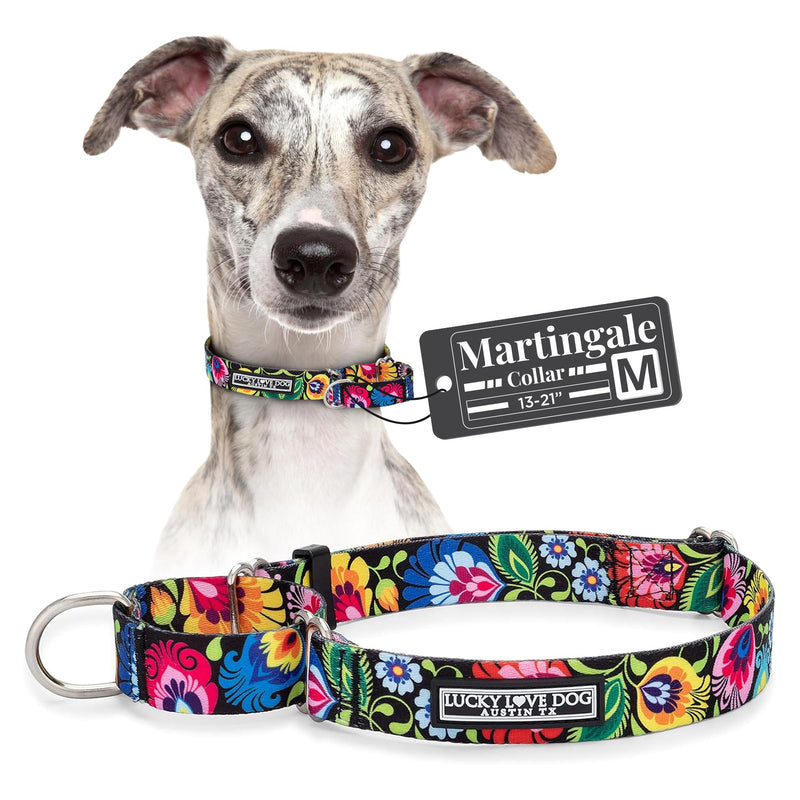 Lucky Love Dog Martingale Dog Collar - Adjustable, No-Slip, Durable, & Soft Webbing Collar for Male and Female Dogs Ideal for Training & Walking - Blackbird, Medium Medium Collars (13-21") - PawsPlanet Australia