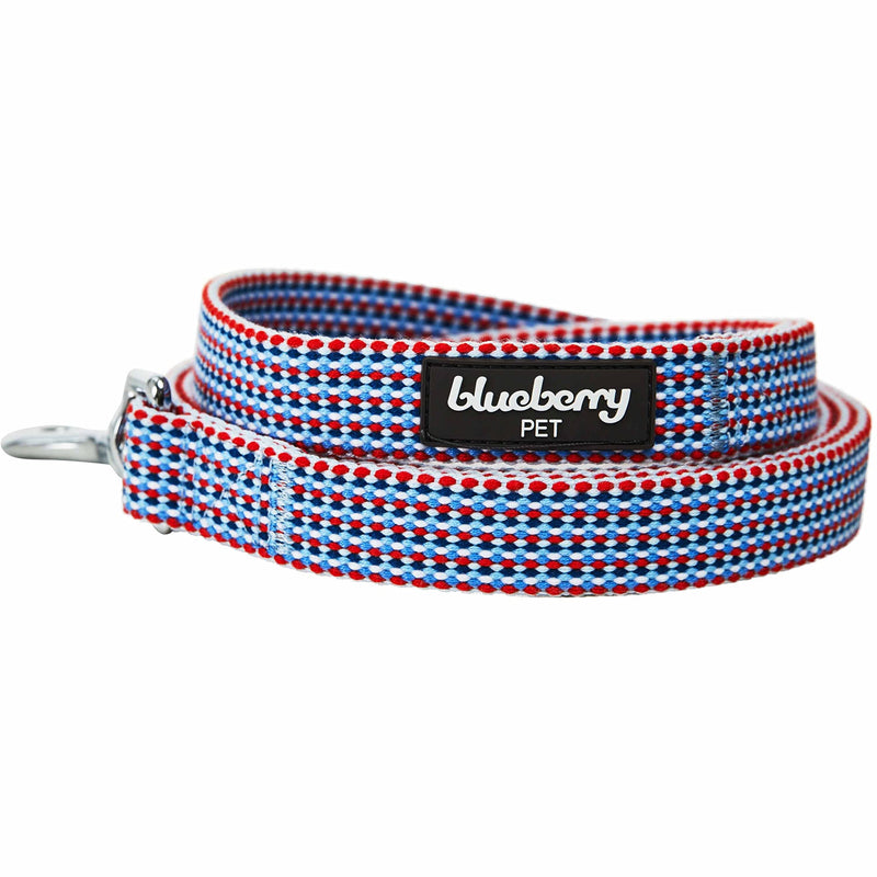 Blueberry Pet Multicolor Braids Dog Leash, 5 ft x 3/4", Medium, Leashes for Dogs 5' * 3/4" (Pack of 1) - PawsPlanet Australia