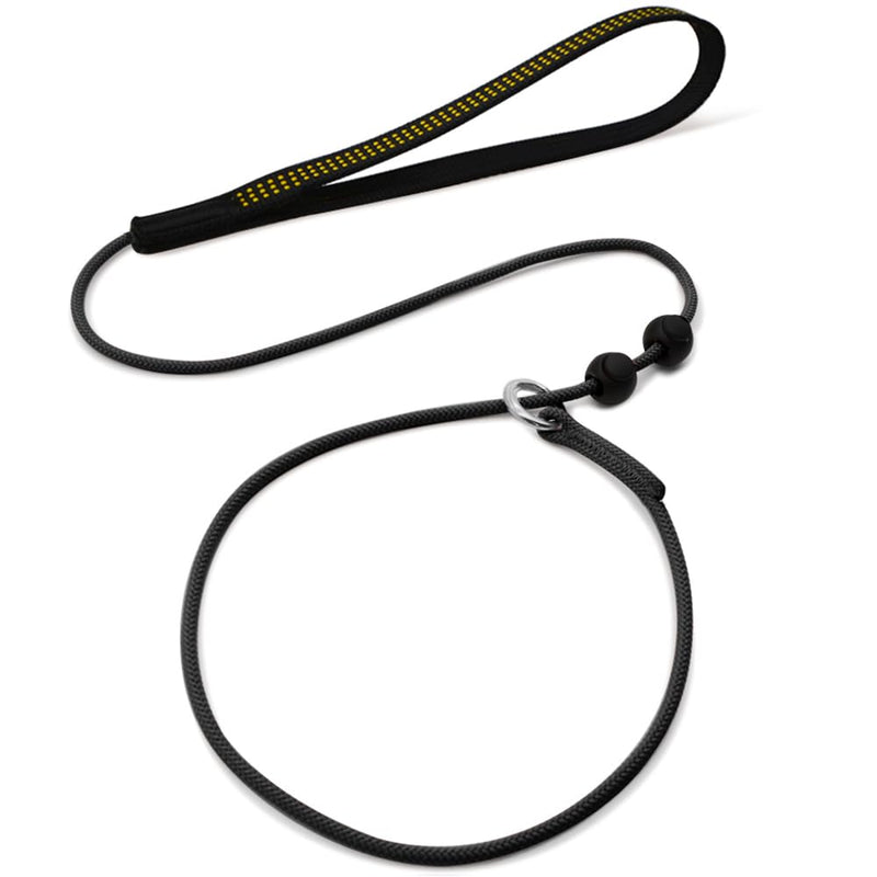 Slip Leads for Dogs,Top Speed Training Dog Leash,2-in-1 Slip Collar Dog Training Lead & Collar,6ft Thin Slip Lead,sturdyand Durable, Leash Suitable for Small, Medium, and Large Dogs(Black) BLACK Training(6FT*1.8M） - PawsPlanet Australia