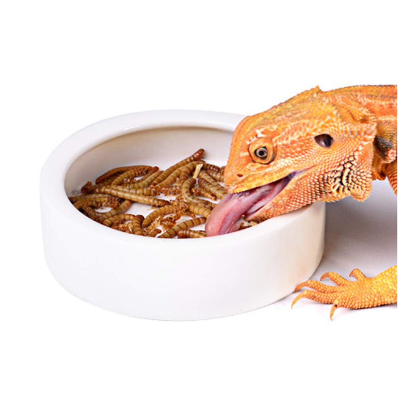 Reptile Food Water Bowl, 2 pcs Ceramics Worm Dish ,Anti-Escape Reptile Water Feeder ,Mealworm Bowl for Lizard Gecko Bearded Dragon, (S,M,L) (Large) Large - PawsPlanet Australia