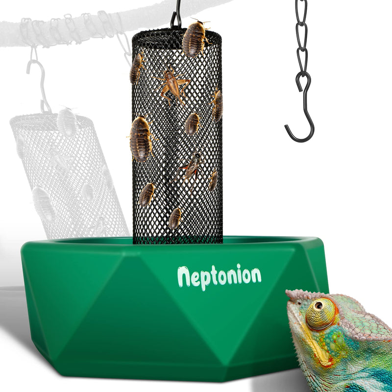 Hookable Chameleon Feeding Bowl, Professional Live Worm Organizer with Column for Prey to Climb and Move, Suitable for Lizard, Bearded Dragon, Iguana, Gecko, Toad, Frog - PawsPlanet Australia