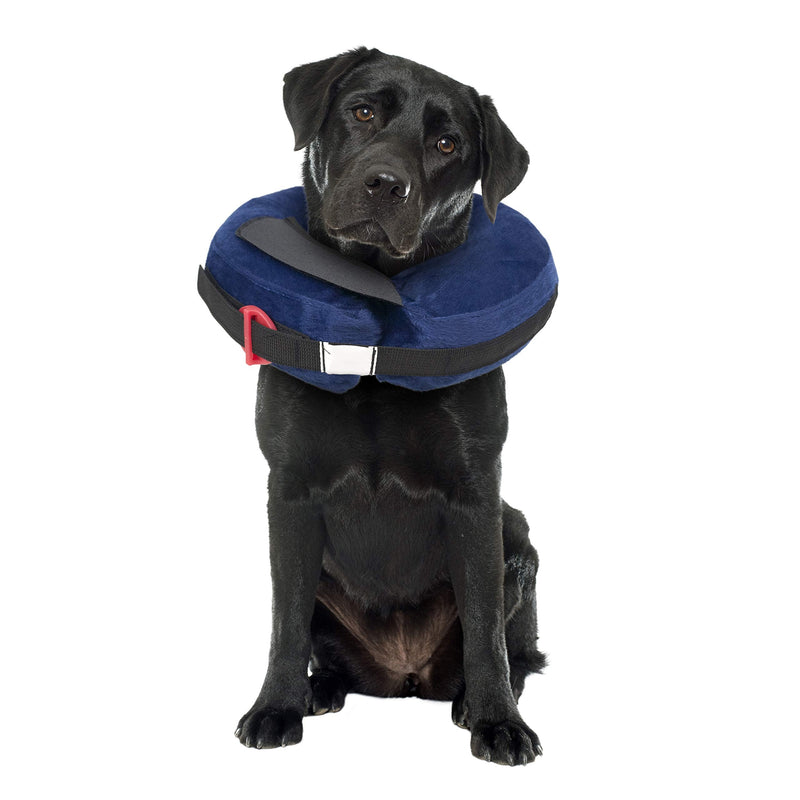 Protective Inflatable Collar Large w/Dog Calming Disc - PawsPlanet Australia