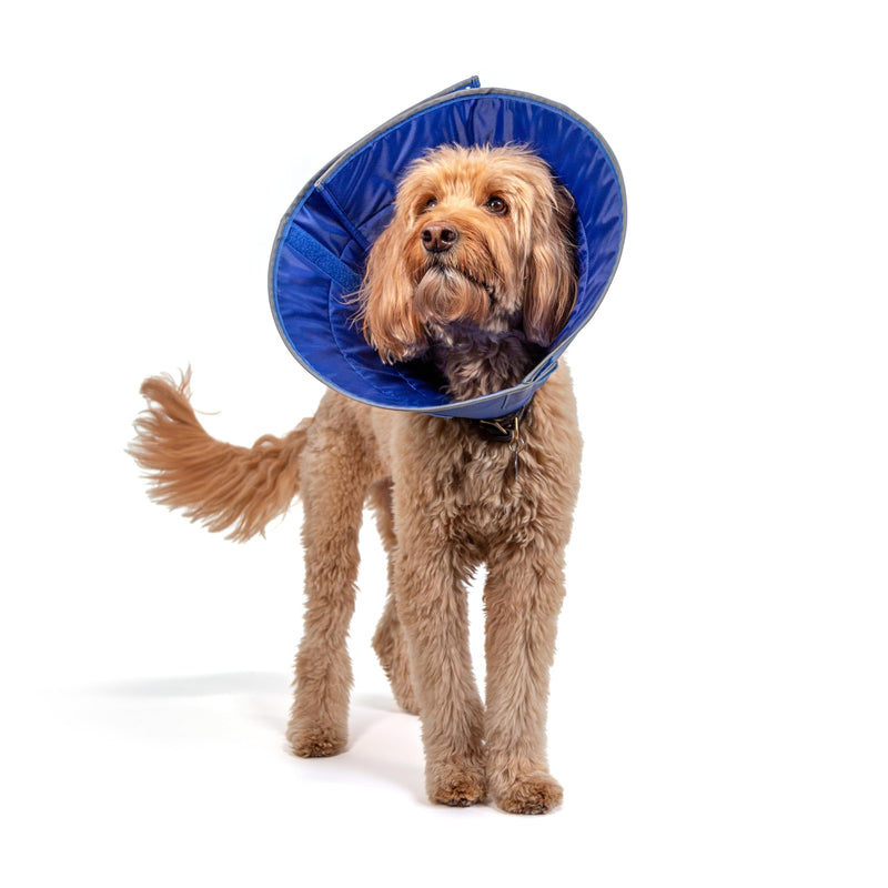 Calm Paws Dog Caring Collar W/Calming (Large) Large - PawsPlanet Australia