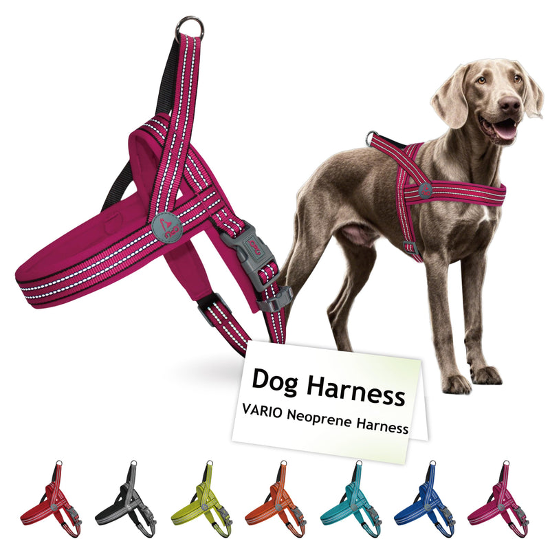 DOCO No-Pull Dog Harness for Small Sized Dog, Halter Reflective Easy-Control Harness for Training, Walking, and Preventing Pulling, Breathable Design - Raspberry Pink - PawsPlanet Australia