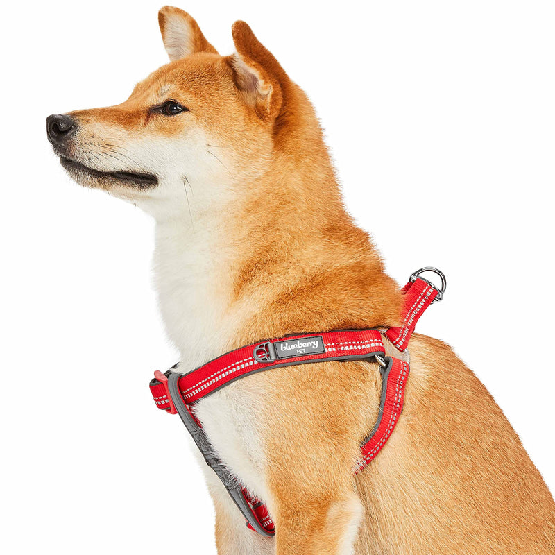 Blueberry Pet Soft & Comfy 3M Reflective Step-in Pastel Color Padded Dog Harness, Chest Girth 16.5" - 21.5", Red, Small, Adjustable Harnesses for Dogs (16.5" - 21.5") Chest Girth (Pack of 1) - PawsPlanet Australia