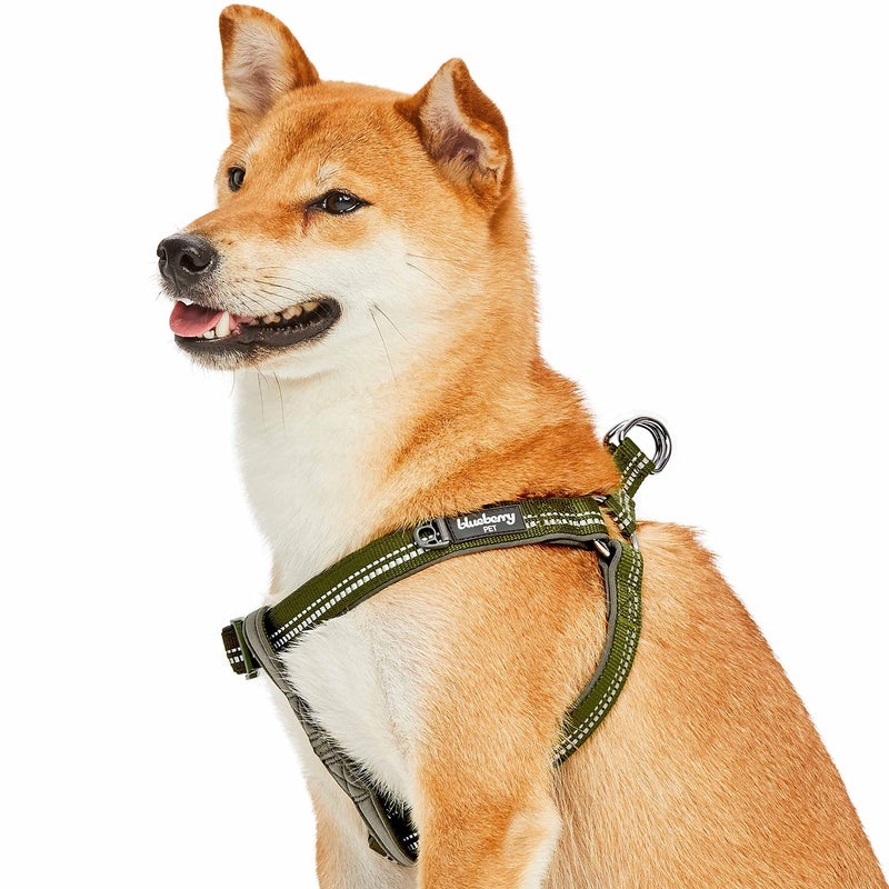 Blueberry Pet Soft & Comfy 3M Reflective Step-in Pastel Color Padded Dog Harness, Chest Girth 16.5" - 21.5", Olive Green, Small, Adjustable Harnesses for Dogs (16.5" - 21.5") Chest Girth (Pack of 1) - PawsPlanet Australia
