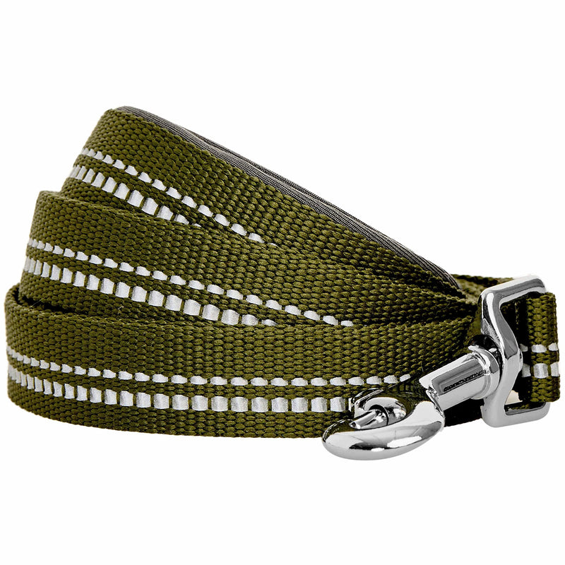 Blueberry Pet 3M Reflective Pastel Color Dog Leash with Soft & Comfortable Handle, 5 ft x 3/4", Olive Green, Medium, Leashes for Dogs Large - PawsPlanet Australia