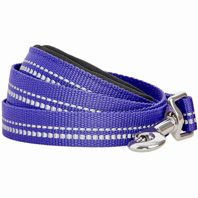 Blueberry Pet 3M Reflective Pastel Color Dog Leash with Soft & Comfortable Handle, 5 ft x 3/4", Violet, Medium, Leashes for Dogs Large