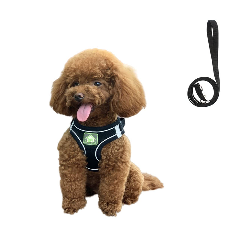 No Pull Small Dog Harness and Leash Set, Puppy and Cat Harness Escape Proof, Step in Breathable Mesh Vest, Adjustable Reflective Pet Harnesses for Small Medium Dogs and Kittens Walking L Black - PawsPlanet Australia