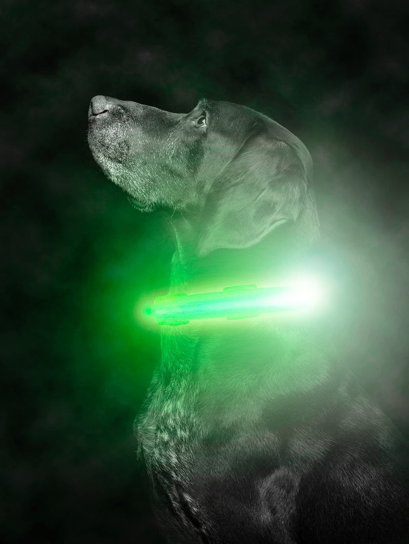 Mighty Paw LED Dog Collar - USB LED Rechargeable - USB Rechargeable Light - High Visibility Glow Strips - Glow Pet Weather Resistant - Enhanced Nighttime Visibility - Light Up Dog Collar - (L, Green) Large - PawsPlanet Australia
