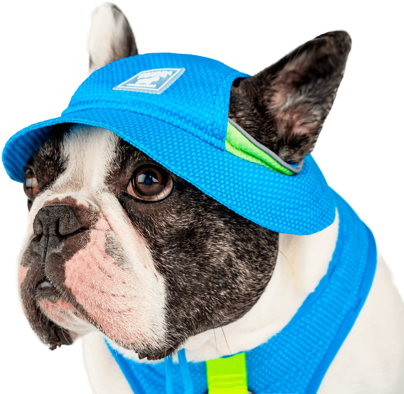 Canada Pooch Cooling Dog Sun Hat - Evaporative Cooling Dog Cap with Breathable Mesh Material for Hot Days, Adjustable Cooling Hat for Dogs Great for Dogs M Blue - PawsPlanet Australia
