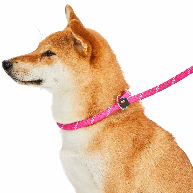 Blueberry Pet Durable Diagonal Striped Collar Leash Training Set with Comfy Neoprene Handle, Pink-Tone, 6 ft, Strong Training Leashes for Dogs Slip Lead - 6 Foot - PawsPlanet Australia